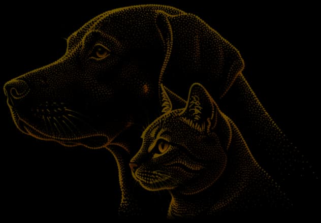 A dog and a cat drawn as an orange stipple portrait, turning from profile to face the reader